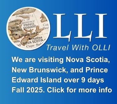 travel with olli