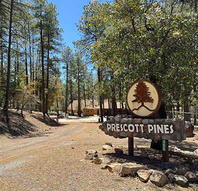 Prescott Pines