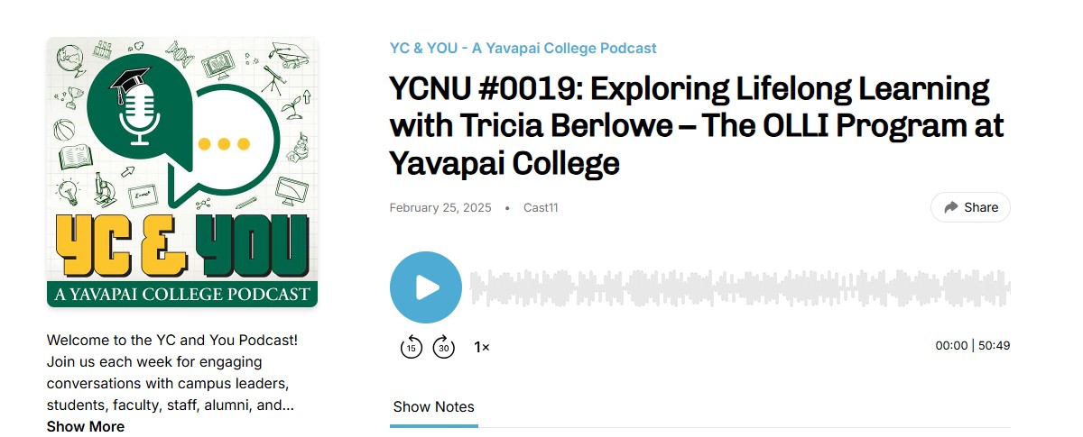 YC podcast